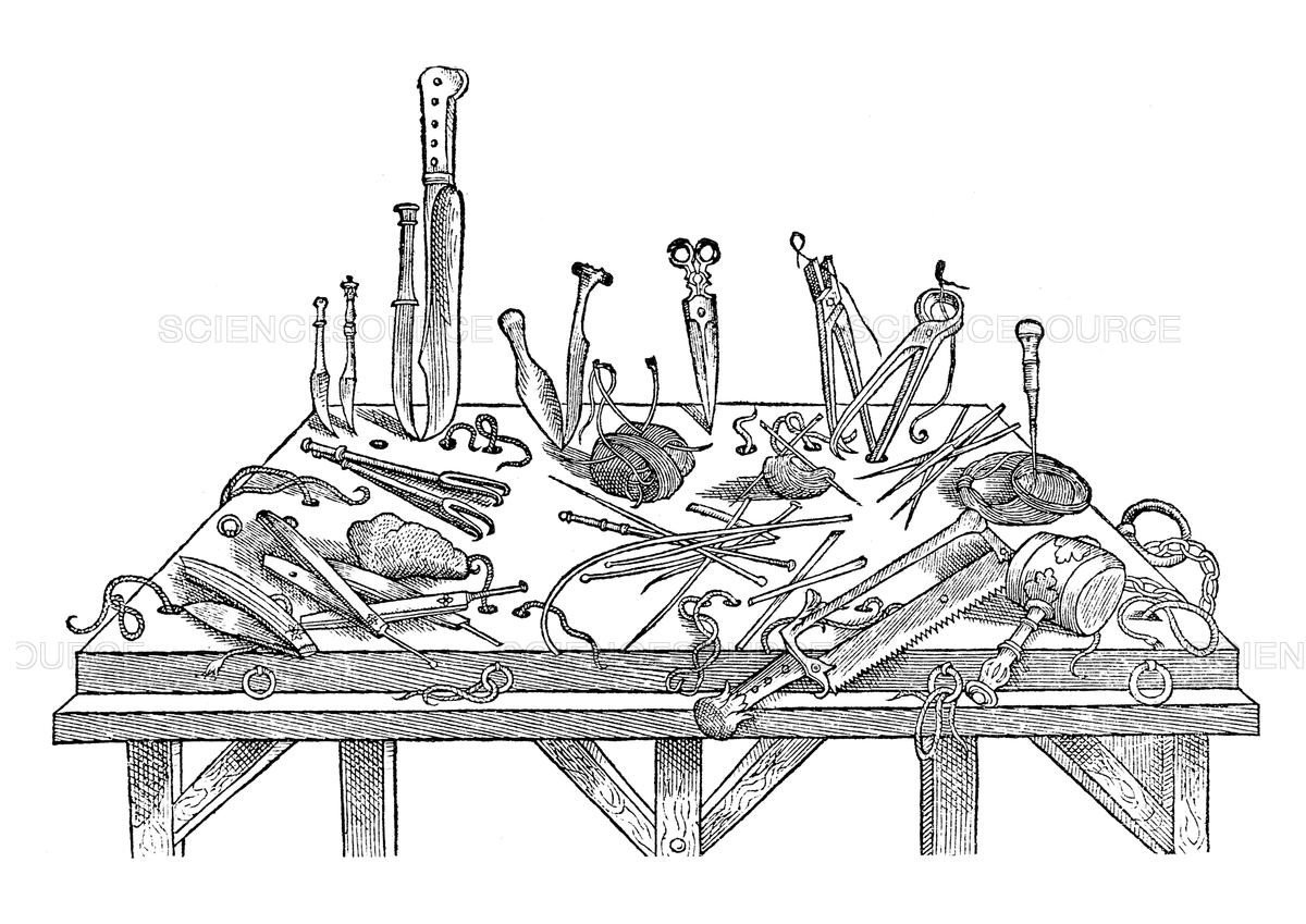 Butchers and Anatomists