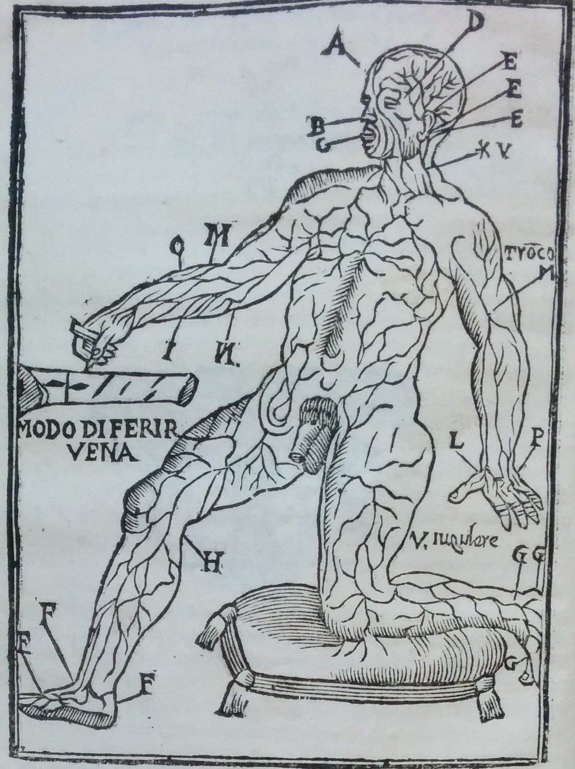 Cinzio D’Amato, Prattica nuova et utilissima di tutto quello, ch’al diligente Barbiero s’appartiene: cioè di cavar sangue, medicar ferrite, & balsamar corpi humani (Venice, 1669).