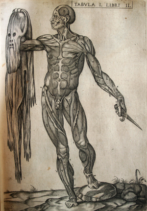 Juan Valverde de Amusco, Vivae imagines partium corporis humani aereis formos expressae (1579), RCSEd