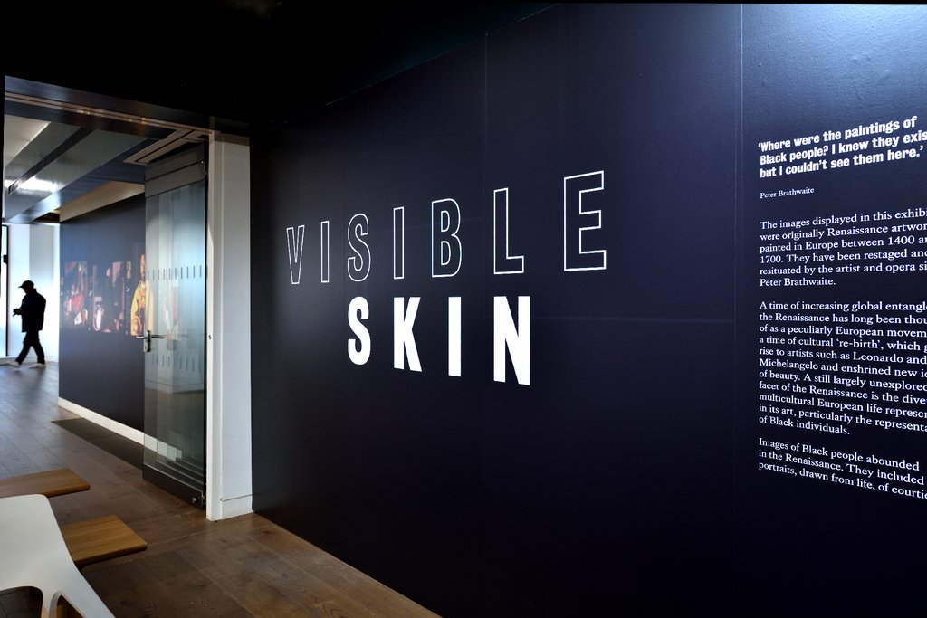 Visible Skin-026