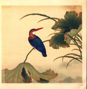 Kingfisher Blue 1b